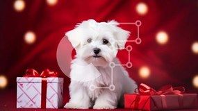 Σετ των 2 Intra Συλλεκτικό Ξύλινο Παζλ Plywood 4mm - Εορταστικό λευκό σκυλί με κόκκινα κουτιά δώρων Σε Ξύλινο Κουτί - Διαστάσεις: 10x10 cm – 25 κομμάτια