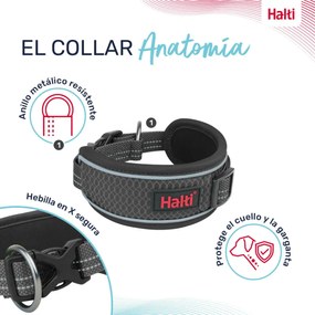 Κολλάρο Σκύλου Company of Animals Γκρι
