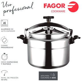 Κατσαρόλα Express Fagor CHEF EXTREMEN15