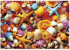 Παζλ Educa Collage de Conchas 1000 Τεμάχια