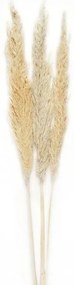 Μπουκέτο Αποξηραμένο Pampas (Σετ 3Τμχ) AH-AX70129 105cm Natural Andrea House Φυσικό Στάχυ