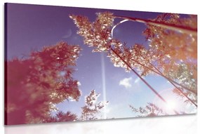 Εικόνα φθινοπωρινά κοτσάνια χόρτου - 120x80