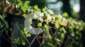 Intra Συλλεκτικό Ξύλινο Παζλ Plywood  4mm - Ξύλινος φράχτης με πράσινα κλήματα κισσού Σε Ξύλινο Κουτί - Διαστάσεις: 10x10 cm – 25 κομμάτια