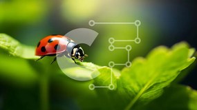 Intra Συλλεκτικό Ξύλινο Παζλ Plywood 4mm - Πασχαλίτσα στα πράσινα φύλλα Σε Ξύλινο Κουτί - Διαστάσεις: 10x10 cm – 25 κομμάτια