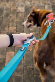 Λουρί Σκύλου Red Dingo Τυρκουάζ