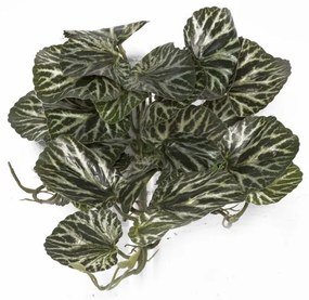 Supergreens Τεχνητή Κρεμαστή Σαξιφράγκα Sarmentosa Πράσινο 43 εκ.