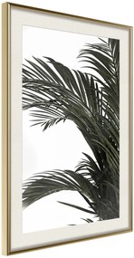 Αφίσα - Jungle Scent - 40x60 - Χρυσό - Με πασπαρτού