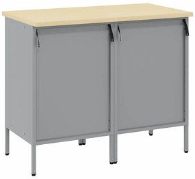 vidaXL Ντουλάπα Εργασίας 2 pcs Κόκκινο και Γκρίζο 100 x 55 x 85 εκ.