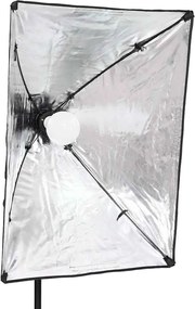 vidaXL Φωτιστικά Studio Επαγγελματικά 2 τεμ. 40 x 60 εκ.