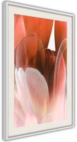 Αφίσα - Tulip Petals - 40x60 - Χρυσό - Χωρίς πασπαρτού