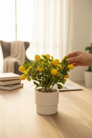 Stewehome Τεχνητό δέντρο ρόδιας σε λευκή γλάστρα