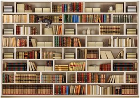 Αυτοκόλλητη φωτοταπετσαρία - Home library - 245x175