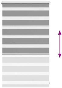 vidaXL Σύστημα Σκίασης Ρόλερ Zebra Γκρι 50 x 100 εκ.
