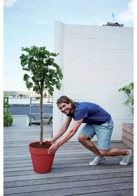 Βάζο Λουλουδιών Elho