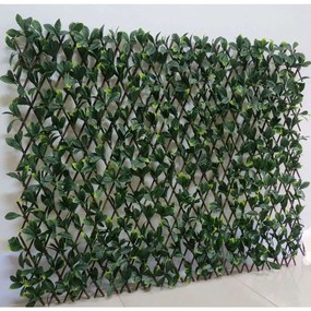Πτυσσόμενη Πέργκολα Σεφλέρα 9681-7 100x200cm Green Supergreens 100X200