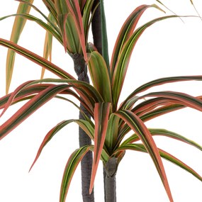 GloboStar® Artificial Garden DRAGON BLOOD TREE 20371 Τεχνητό Διακοσμητικό Φυτό Δράκαινα Υ220cm