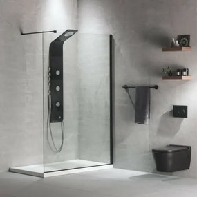 Devon Iwis Walk-in Inox 304 Διαχωριστικό Κρύσταλλο Ντουζιέρας Με Black Brushed Βραχίονα 117-119 εκ. - ύψος 200 εκ.