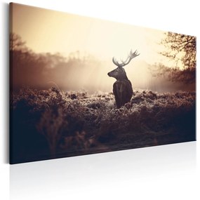 Πίνακας - Lurking Deer 120x80