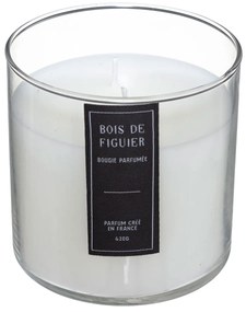 Αρωματικό Κερί 430gr (Φ10x10) C-B Sili Fig Candle 181629D