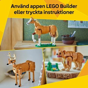 Παιχνίδι Kατασκευή Lego CREATOR 31166 Beautiful Horse