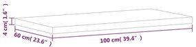 vidaXL Πάγκος Μπάνιου 100x60x4 εκ. από Μασίφ Ξύλο Οξιάς