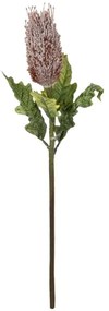 Τεχνητό Λουλούδι Stipa Fruit 21375 69cm Green-Purple GloboStar Πολυαιθυλένιο