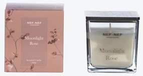 Αρωματικό Κερί 200gr Nef-Nef Homeware Moonlight Rose