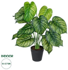 Artificial Garden CALATHEA PLANT 20912 Διακοσμητικό Φυτό Καλαθέα Φ55 x Υ75cm Globostar 20912