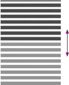 vidaXL Ζέβρα τυφλή Μαύρο Πλάτος υφάσματος 150,9 εκ. Πολυεστέρας