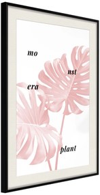 Αφίσα - Pale Pink Monstera - 20x30 - Μαύρο - Με πασπαρτού