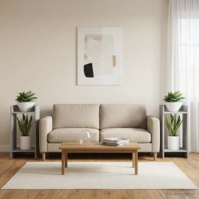 vidaXL Βάση φυτών 2 τμχ. Σκυρόχρωμο Γκρι 30 x 30 x 60 cm