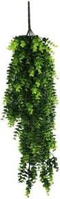 New plan ΚΡΕΜΑΣΤΟ ΦΥΤΟ CUBA (SET 10ΤΜΧ) 75cm 009YG PEPEROMIA Συσκευσια 10 τεμαχιων