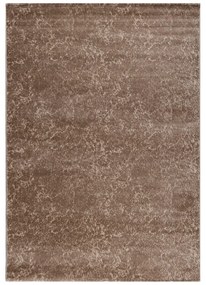 Χαλί (200x290) Polcarpet Estia 9795 Brown