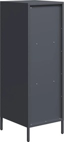 vidaXL Ντουλάπι Ανθρακί 35x39x103,5 εκ. από Χάλυβα