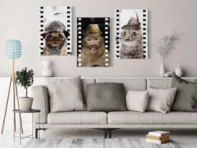 Πίνακας - Funny Pets (Collection) - 120x60