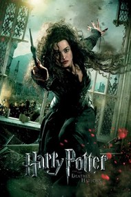 Εικονογράφηση Harry Potter - Belatrix Lestrange