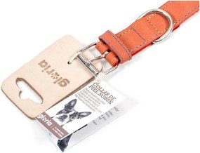 Κολλάρο Σκύλου Gloria Oasis Κόκκινο (1,5 x 40 cm)