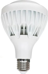 Λαμπτήρας LED E27 PAR30 25W 4000K Zoomable