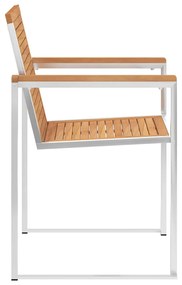 vidaXL Καρέκλες Κήπου 6 τεμ. από Μασίφ Ξύλο Teak με Μαξιλάρια