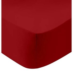 Κατωσέντονο Cotton Feelings με λάστιχο 113 Red Υπέρδιπλο (180x200+30)