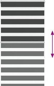 vidaXL Ζέβρα τυφλή Μαύρο Πλάτος υφάσματος 65,9 εκ. Πολυεστέρας