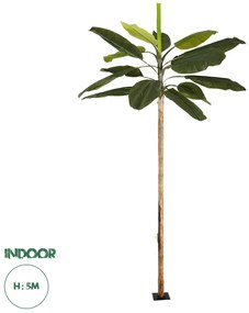 21502 GloboStar® Artificial Garden BANANA TREE 21502 Τεχνητό Διακοσμητικό Δέντρο Μπανανιάς Υ500cm