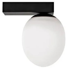 Φωτιστικό Οροφής-Φωτιστικό Τοίχου Μαύρο Ice Egg C 8132 Nowodvorski-8132-Μαύρο-Λευκό 8132