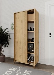 Stewehome Ντουλάπι Παπουτσιών με Συρόμενες Πόρτες Ευρύχωρο και Μοντέρνο 80x40x170 cm