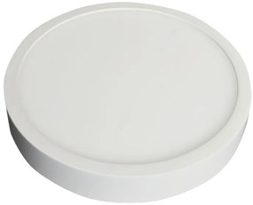 LED Εξωτερικό Πάνελ mini premium slim 12W στρογγυλό Ψυχρό Λευκό 4912