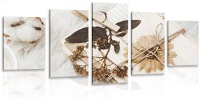 Συλλογή εικόνων 5 μερών από παλιά φύλλα - 100x50