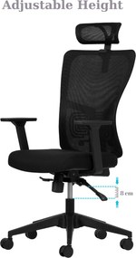 Office Chair Set (2 Pieces) Lumbar 126 - Black Black