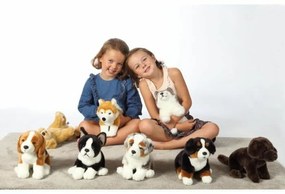 Αρκουδάκι Gipsy Σκύλος