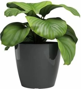 Γλάστρα Artevasi SAN REMO Ανθρακί Ø 42 cm (2 Τεμάχια)