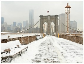 Φωτοταπετσαρία - Snow-covered bridge in New York 250x193